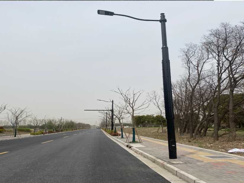阳江市上海综合杆 太阳能路灯工程